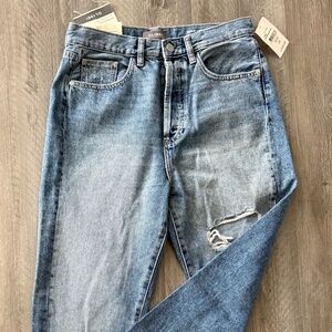DL1961 Emilie Straight Jean (size 26)